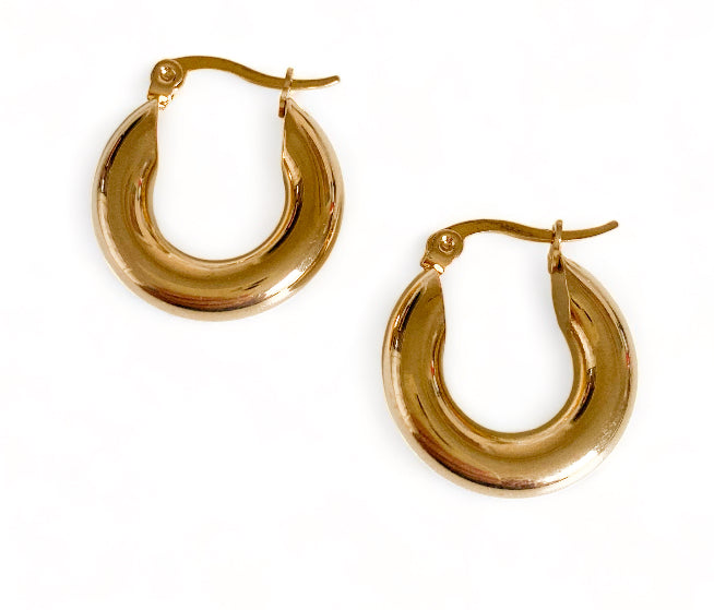 The Rylee Hoops