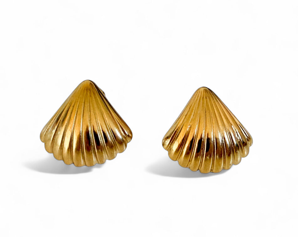 The Isla Shell
