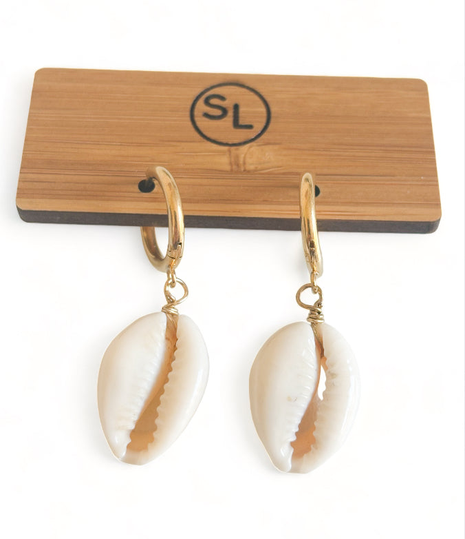 Cowrie Shell