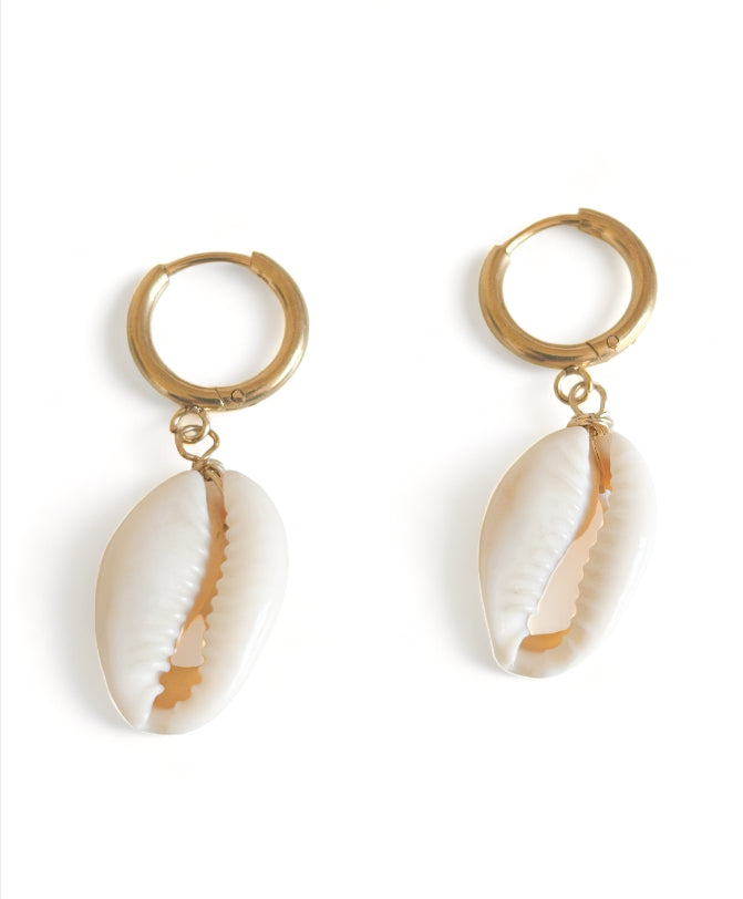 Cowrie Shell