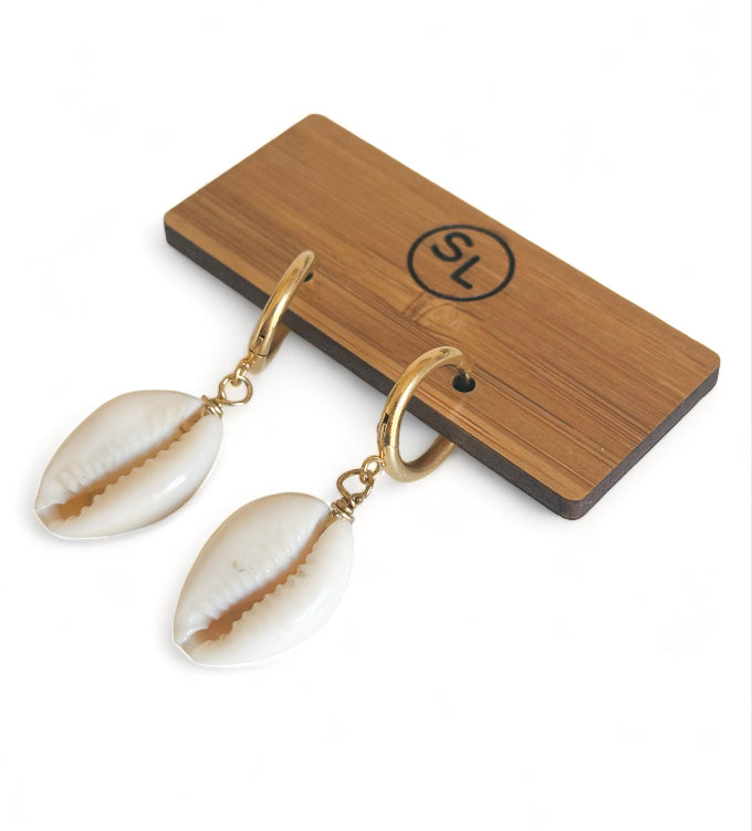 Cowrie Shell